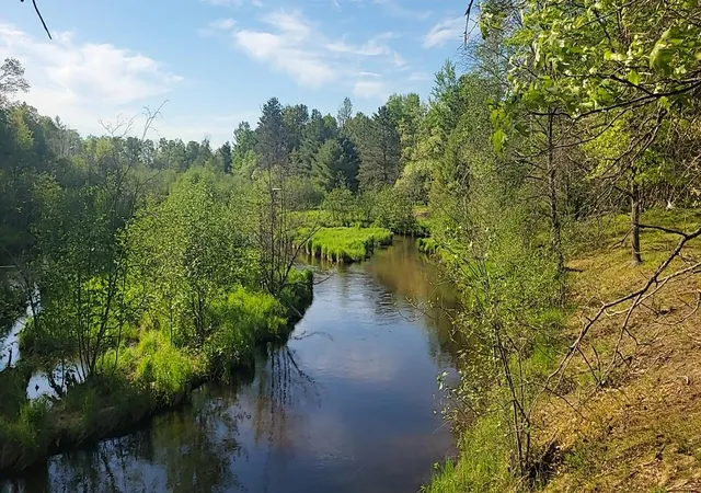2nd image of 0 Sumac Trl, Grayling, MI 49738 | MLS# 78080069246