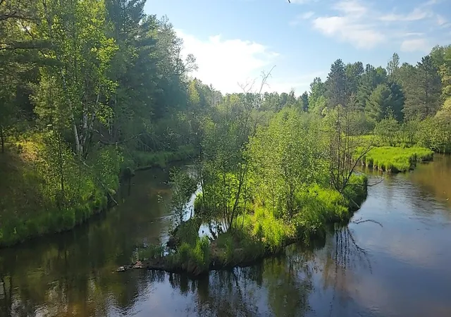 3rd image of 0 Sumac Trl, Grayling, MI 49738 | MLS# 78080069246