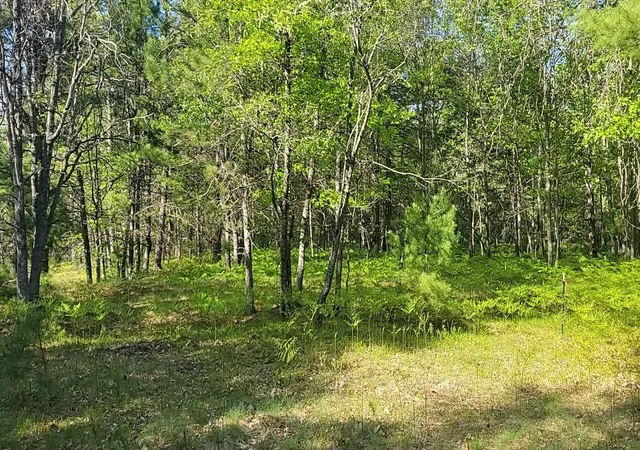 4th image of 0 Sumac Trl, Grayling, MI 49738 | MLS# 78080069246