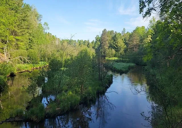 5th image of 0 Sumac Trl, Grayling, MI 49738 | MLS# 78080069246