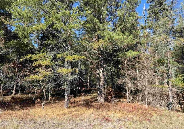1st image of 00 E North Down River Rd, Grayling, MI 49738 | MLS# 78080069247
