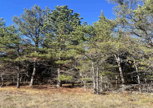 2nd image of 00 E North Down River Rd, Grayling, MI 49738 | MLS# 78080069247
