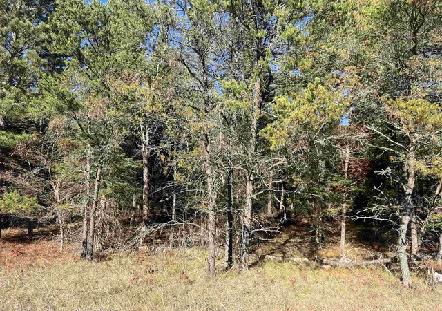 5th image of 00 E North Down River Rd, Grayling, MI 49738 | MLS# 78080069247