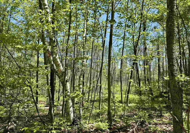 22nd image of 000 Ora Lake Rd, Hale, MI 48739 | MLS# 77080069280