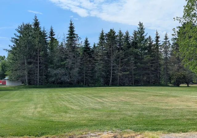 1st image of N/a Smith St, Turner, MI 48765 | MLS# 77080069281