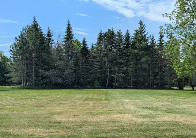 5th image of N/A Smith St, Turner, MI 48765 | MLS# 77080069281