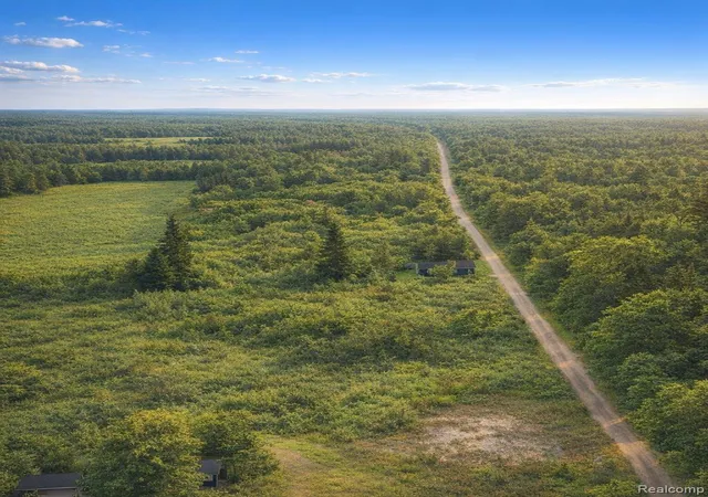 Photo 3 of Land for sale at 0 Gray Rd, Lapeer, MI 48446 | MLS# 20261041756 | Listing updated on 2026-08-31