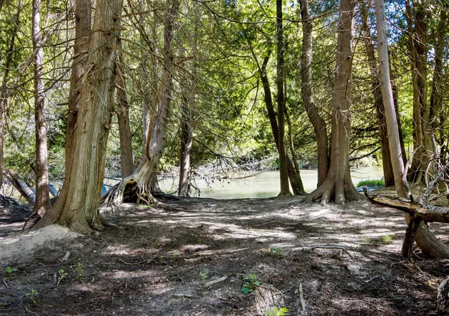 Photo 2 of Land for sale at 0 Betsie River Ct, Benzonia, MI 49616 | MLS# 78080069313 | Listing updated on 2026-06-16