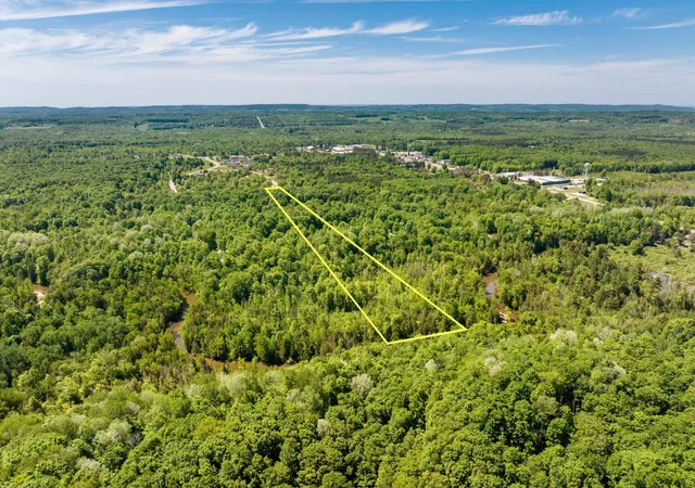 Photo 3 of Land for sale at 0 Betsie River Ct, Benzonia, MI 49616 | MLS# 78080069313 | Listing updated on 2026-06-16