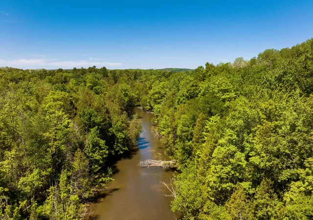 Photo 3 of Land for sale at 0 Betsie River Ct, Benzonia, MI 49616 | MLS# 78080069313 | Listing updated on 2026-06-16