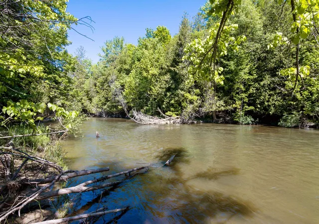 Photo 4 of Land for sale at 0 Betsie River Ct, Benzonia, MI 49616 | MLS# 78080069313 | Listing updated on 2026-06-16