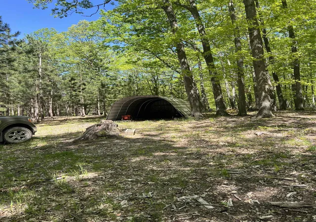 10th image of 4169 N 25 Rd, Mesick, MI 49668 | MLS# 78080069319