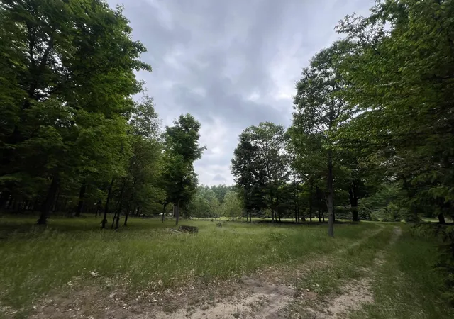 2nd image of 4169 N 25 Rd, Mesick, MI 49668 | MLS# 78080069319