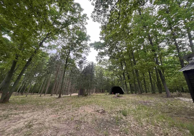 3rd image of 4169 N 25 Rd, Mesick, MI 49668 | MLS# 78080069319