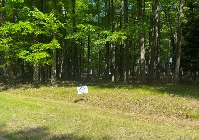 3rd image of Lot 16 Towering Oaks Dr, Port Austin, MI 48467 | MLS# 20261041933