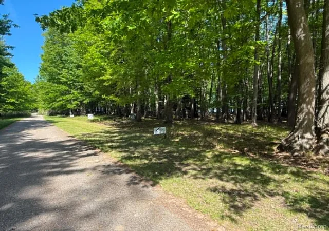 4th image of Lot 16 Towering Oaks Dr, Port Austin, MI 48467 | MLS# 20261041933