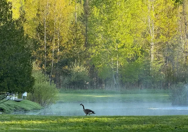 4th image of 8401 S Sullivan Rd, Cedar, MI 49621 | MLS# 78080069334