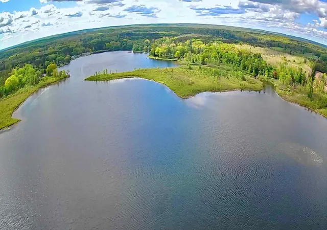 3rd image of 9388 S Lake Dr, Evart, MI 49631 | MLS# 72026027592