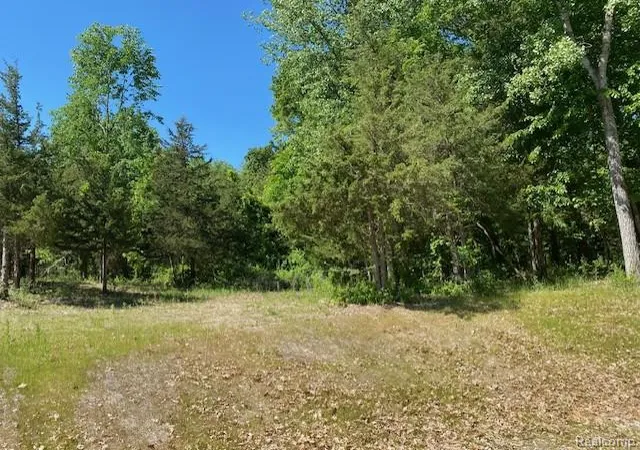 1st image of Lot 5 Dollar Ridge Ln, Green Oak Township Livingston, MI 48178 | MLS# 20261042024