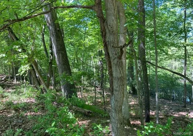Photo 3 of Land for sale at Lot 5 Dollar Ridge Ln, Green Oak Township Livingston, MI 48178 | MLS# 20261042024 | Listing updated on 2026-06-10