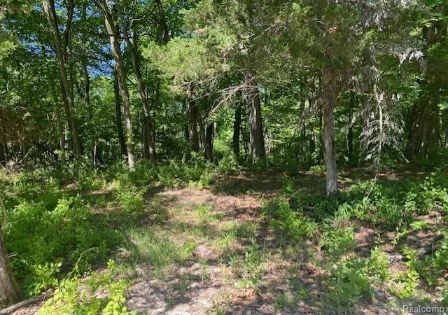 Photo 3 of Land for sale at Lot 5 Dollar Ridge Ln, Green Oak Township Livingston, MI 48178 | MLS# 20261042024 | Listing updated on 2026-06-10