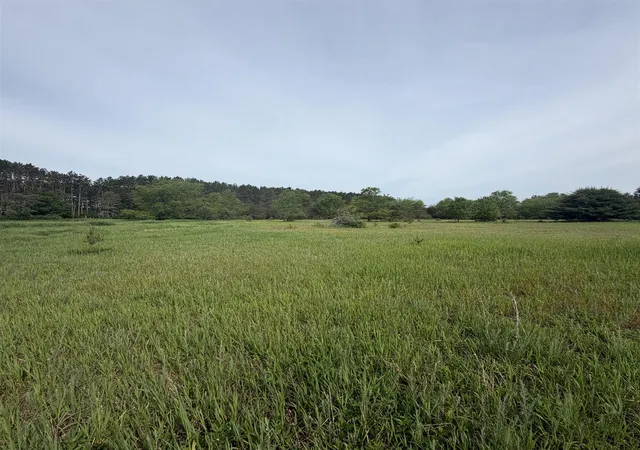 3rd image of 00 Pearl St, Kingsley, MI 49649 | MLS# 78080069350