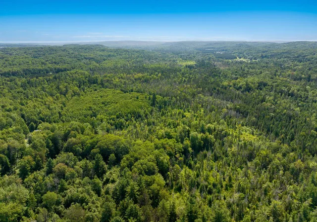 10th image of 00 Aero Park Dr, Bellaire, MI 49615 | MLS# 78080069356