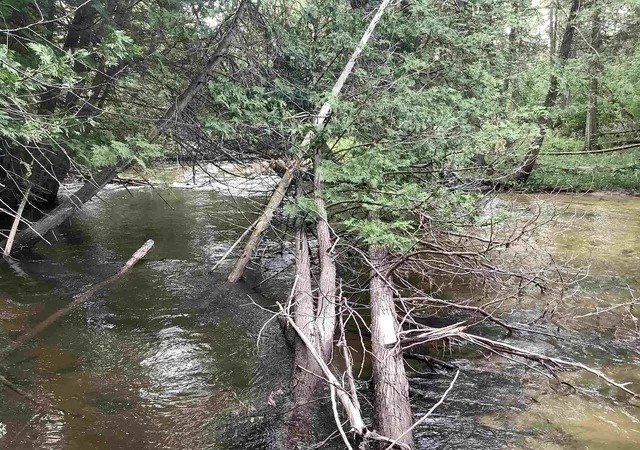 Photo 3 of Land for sale at 00 Aero Park Dr, Bellaire, MI 49615 | MLS# 78080069356 | Listing updated on 2026-09-07