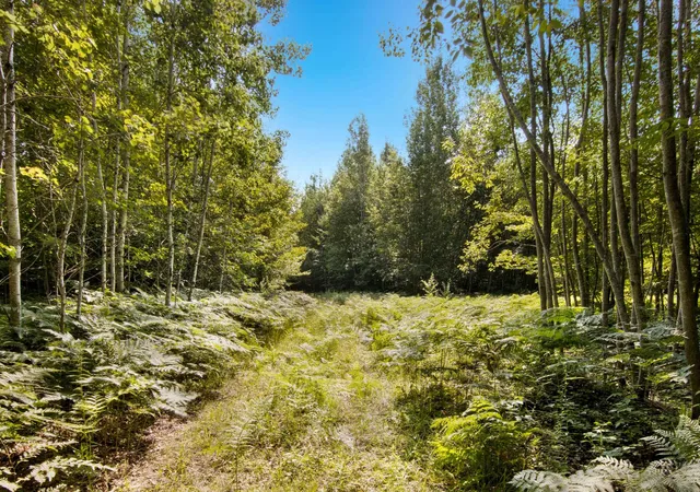 4th image of 00 Aero Park Dr, Bellaire, MI 49615 | MLS# 78080069356