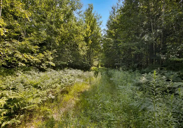 5th image of 00 Aero Park Dr, Bellaire, MI 49615 | MLS# 78080069356