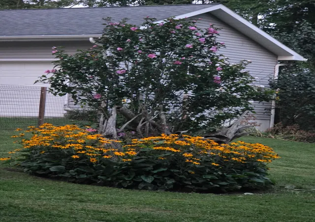 Photo 3 of Single family home for sale at 6670 Tower Lake Rd NE, Belding, MI 48809 | MLS# 65026027655 | Listing updated on 2026-09-09