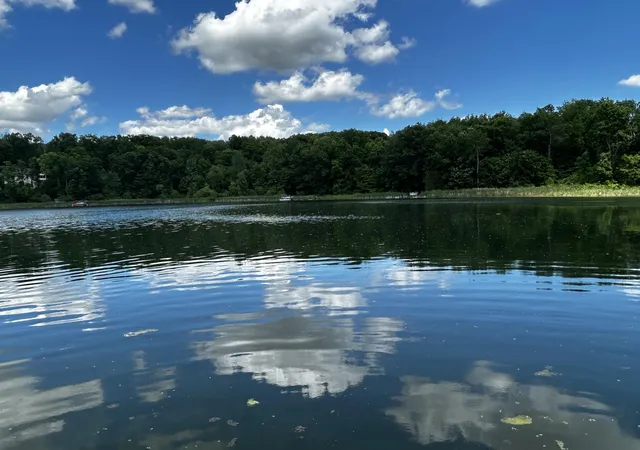 Photo 4 of Single family home for sale at 6670 Tower Lake Rd NE, Belding, MI 48809 | MLS# 65026027655 | Listing updated on 2026-09-09