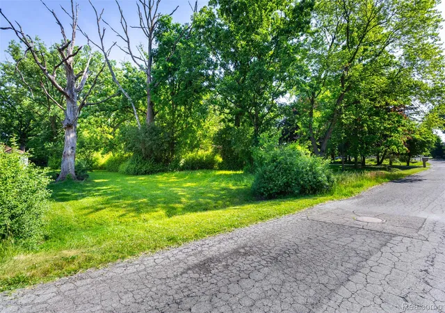 Photo 2 of Land for sale at 16034 Meadowood Ave, Southfield, MI 48076 | MLS# 20261042304 | Listing updated on 2026-09-03