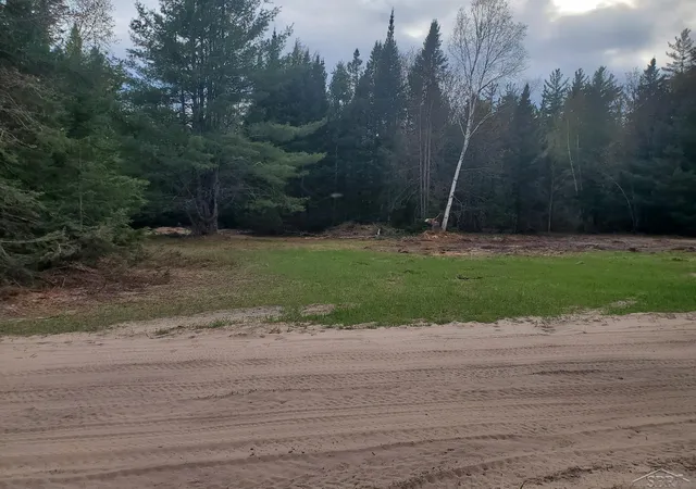 Homes for sale in Au Train Township Alger, MI | Old Plank Rd, Au Train Township Alger, MI 49895 | MLS# 61050210543