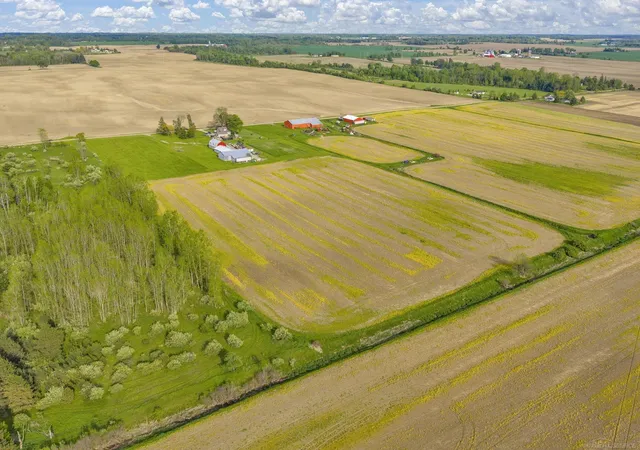 11th image of 0000 Goetze Rd, Washington Township Sanilac, MI 48041 | MLS# 58050210561