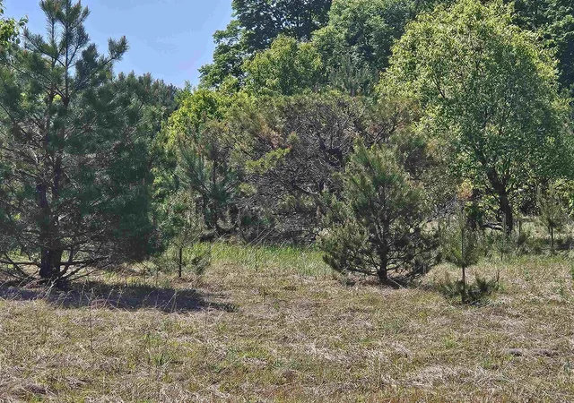 Photo 1 of Land for sale at V/l Se Parcel C Grass Lake Rd, Excelsior Township Kalkaska, MI 49646 | MLS# 78080069388 | Listing updated on 2026-07-13