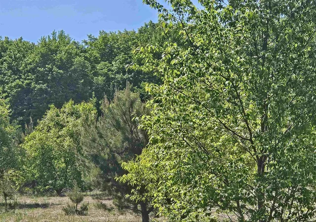 Photo 2 of Land for sale at V/l Se Parcel C Grass Lake Rd, Excelsior Township Kalkaska, MI 49646 | MLS# 78080069388 | Listing updated on 2026-07-13