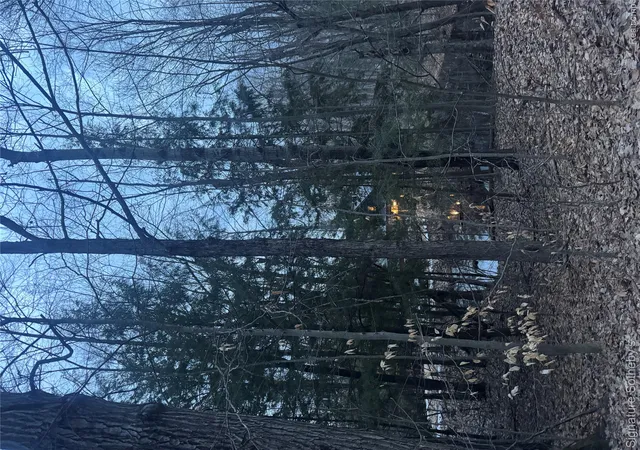 3rd image of 229 Forest Trl, Leroy, MI 49655 | MLS# 20261042501