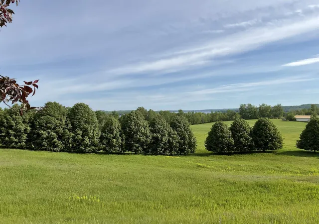 Photo 1 of Land for sale at 4867 E Water View Dr, Lake Leelanau, MI 49653 | MLS# 78080069404 | Listing updated on 2026-09-05