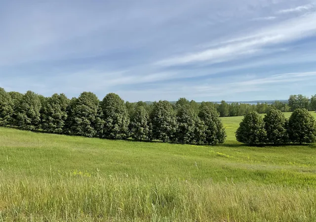 Photo 2 of Land for sale at 4867 E Water View Dr, Lake Leelanau, MI 49653 | MLS# 78080069404 | Listing updated on 2026-09-05