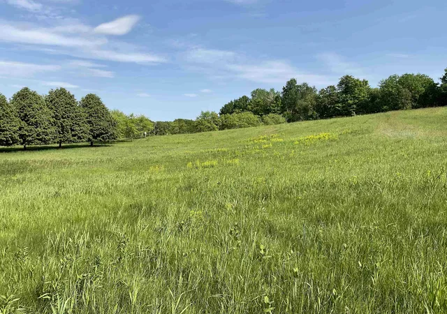 Photo 3 of Land for sale at 4867 E Water View Dr, Lake Leelanau, MI 49653 | MLS# 78080069404 | Listing updated on 2026-09-05