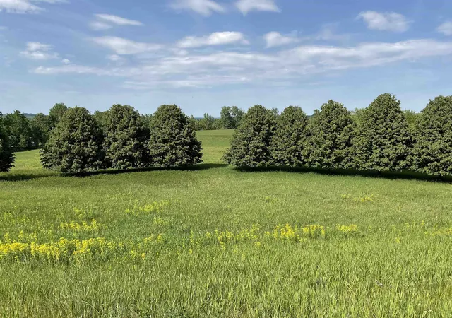 Photo 8 of Land for sale at 4867 E Water View Dr, Lake Leelanau, MI 49653 | MLS# 78080069404 | Listing updated on 2026-09-05