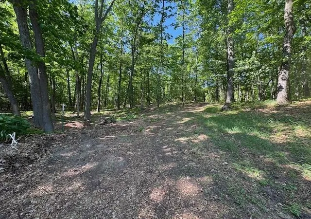 Photo 5 of Land for sale at 9440 W Oak Dr, Lake City, MI 49651 | MLS# 78080069406 | Listing updated on 2026-07-27