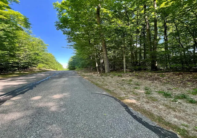 5th image of V/L 60 Sparrow Hawk Dr, Bellaire, MI 49615 | MLS# 78080069416