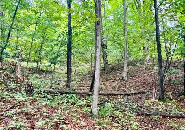 1st image of Killdale Ave, Benzonia, MI 49616 | MLS# 78080069418