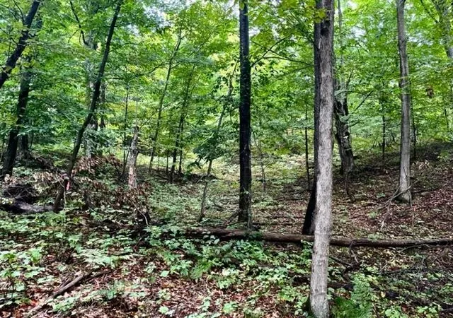 2nd image of Killdale Ave, Benzonia, MI 49616 | MLS# 78080069418