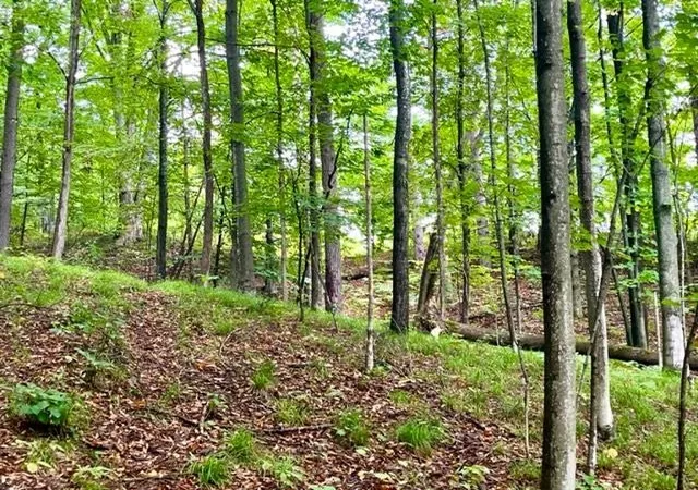 3rd image of Killdale Ave, Benzonia, MI 49616 | MLS# 78080069418