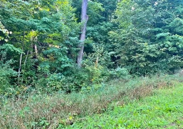 5th image of Killdale Ave, Benzonia, MI 49616 | MLS# 78080069418