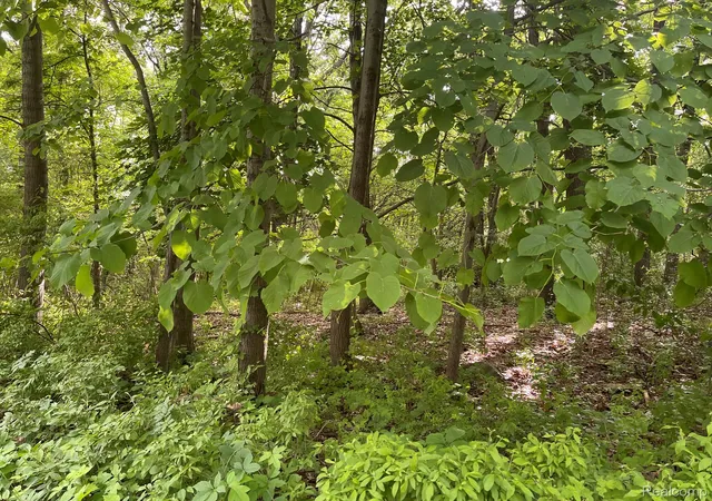 Photo 1 of Land for sale at 08 Tipsico Lake, Highland, MI 48357 | MLS# 20261042885 | Listing updated on 2026-07-06