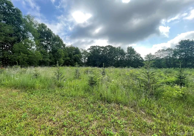 Photo 2 of Land for sale at 08 Tipsico Lake, Highland, MI 48357 | MLS# 20261042885 | Listing updated on 2026-07-06